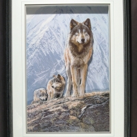 Wolf Pack Crossing the Ridge