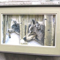 Wolves in Birch Forest