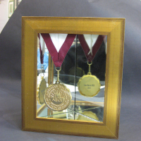 Medallian framed with mirrors