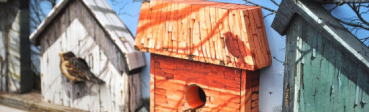 Rustic Birdhouse 3D Art- Neighbours