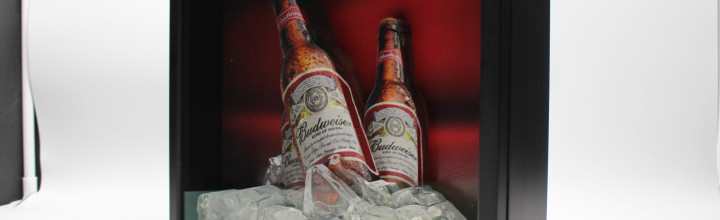 Budweiser Bottles 3D Framed Art