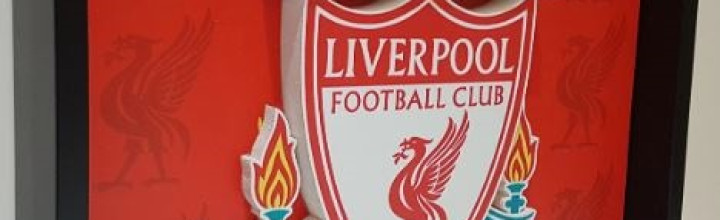 Liverpool Football Club Logo Framed 3D Art