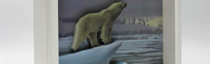 Polar Bear Framed 3D Art