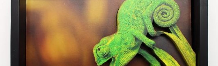 Chameleon Attack in Grass 3D Framed Art