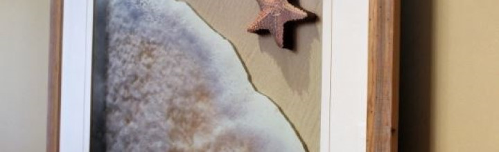 Starfish 3D Framed Art