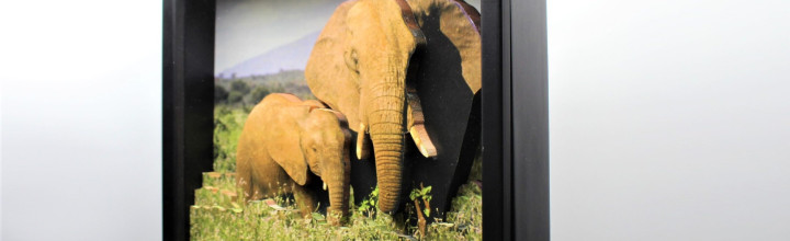 Elephant ‘family’ 3D Framed Art