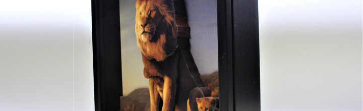 African Lion 3D Framed Art,