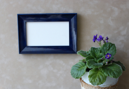 Lacquer Picture Frames